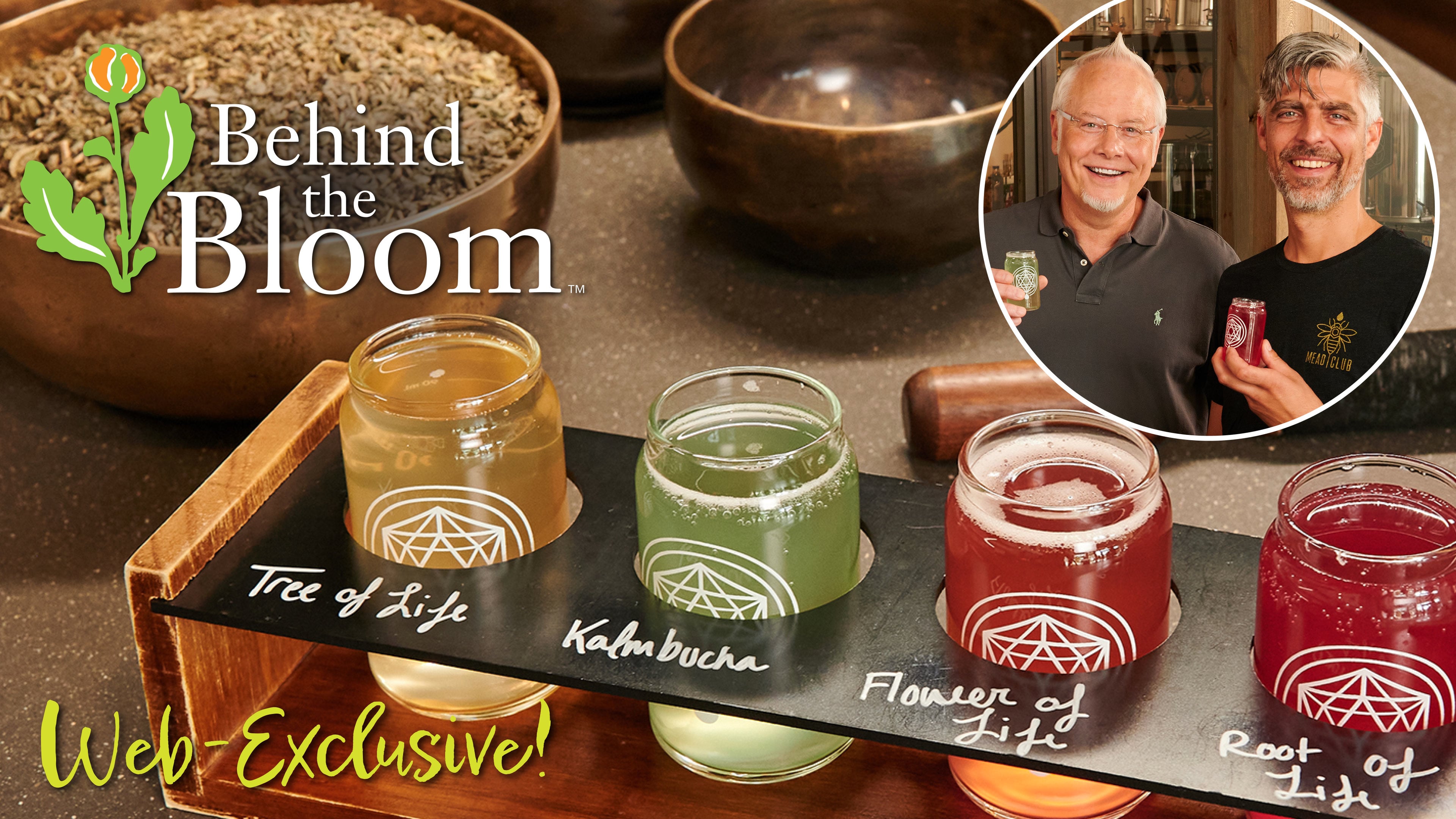 Behind the Bloom -Sacred Springs – and Geoff Lamden!