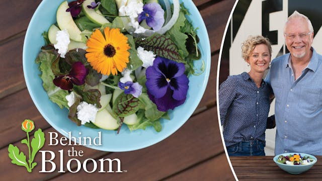 Behind the Bloom- SuperBloom Edible F...