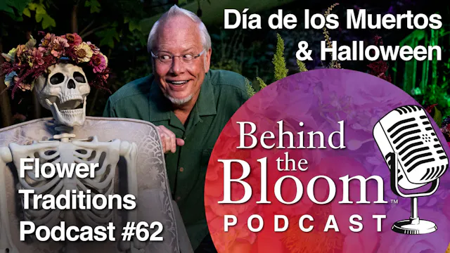 Episode 62- Halloween, Day of the Dea...