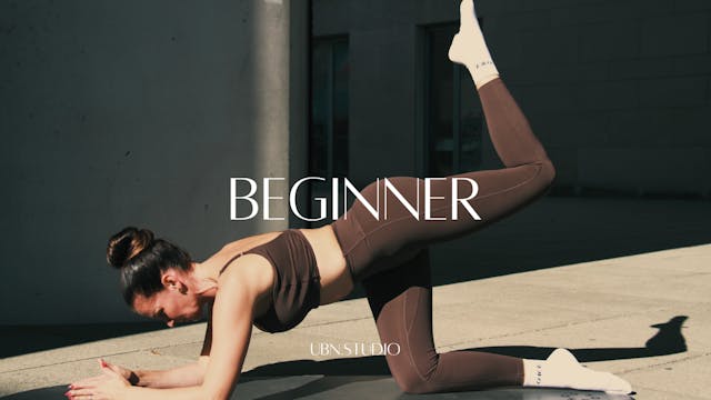 Beginner