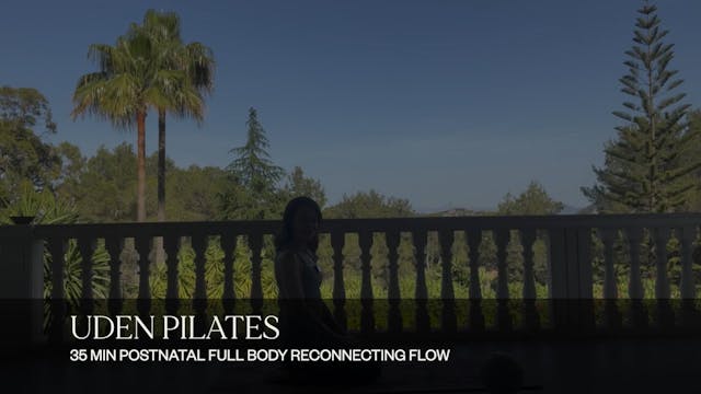 35 MIN POSTNATAL FULL BODY RECONNECTI...