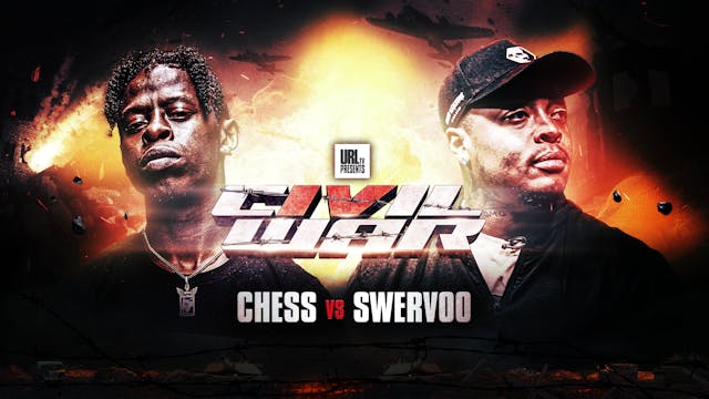 CHESS VS SWERVOO