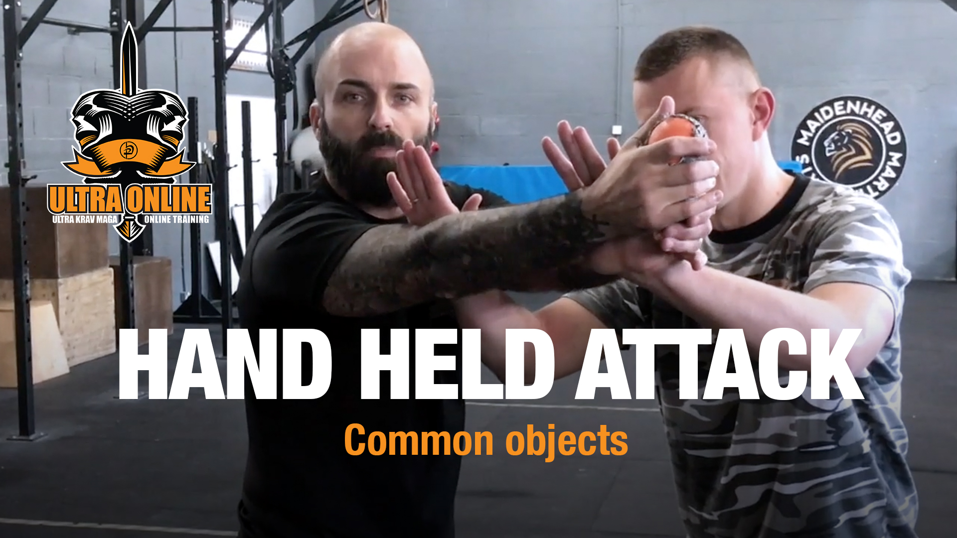 Hand Held Common Object Defence