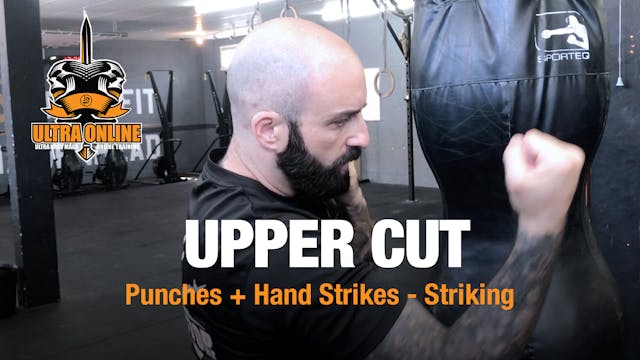 Upper Cut