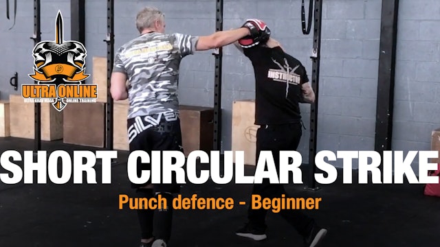 Circular Punch/Strike Defence - Short Distance
