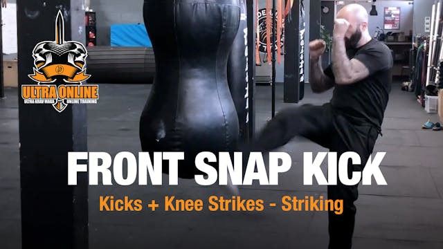 Front Snap Kick