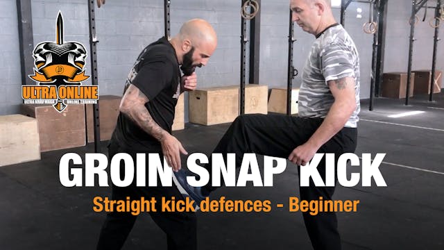 Front Groin Snap Kick Defence - Hands