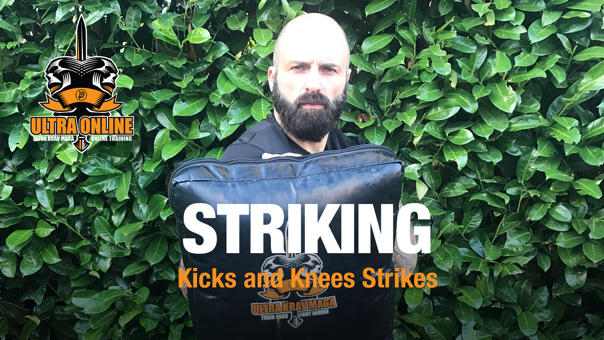 Striking - Kicks + Knee's
