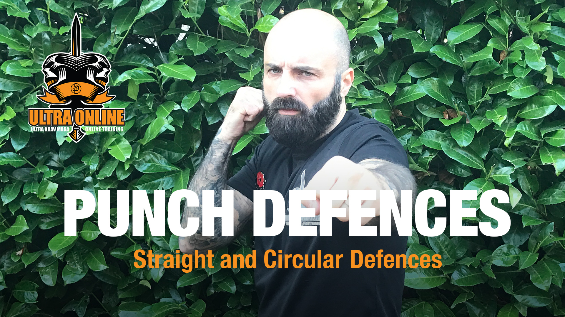 Punch Defences
