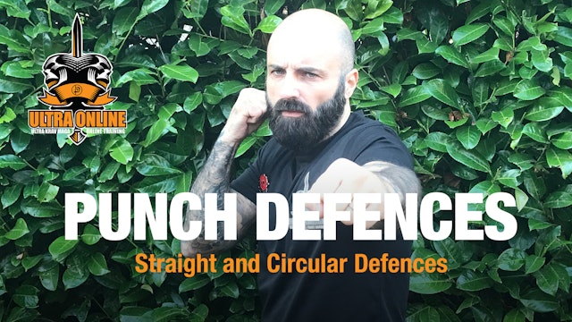 Punch Defences