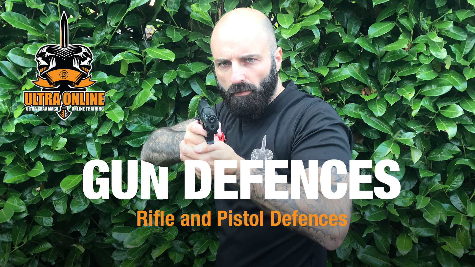 Gun Defences