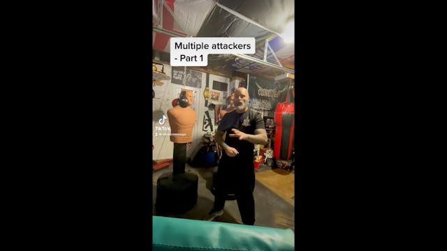 Multiple Attackers 2