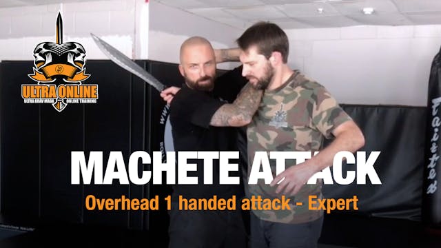 Overhead machete or long blade weapon...