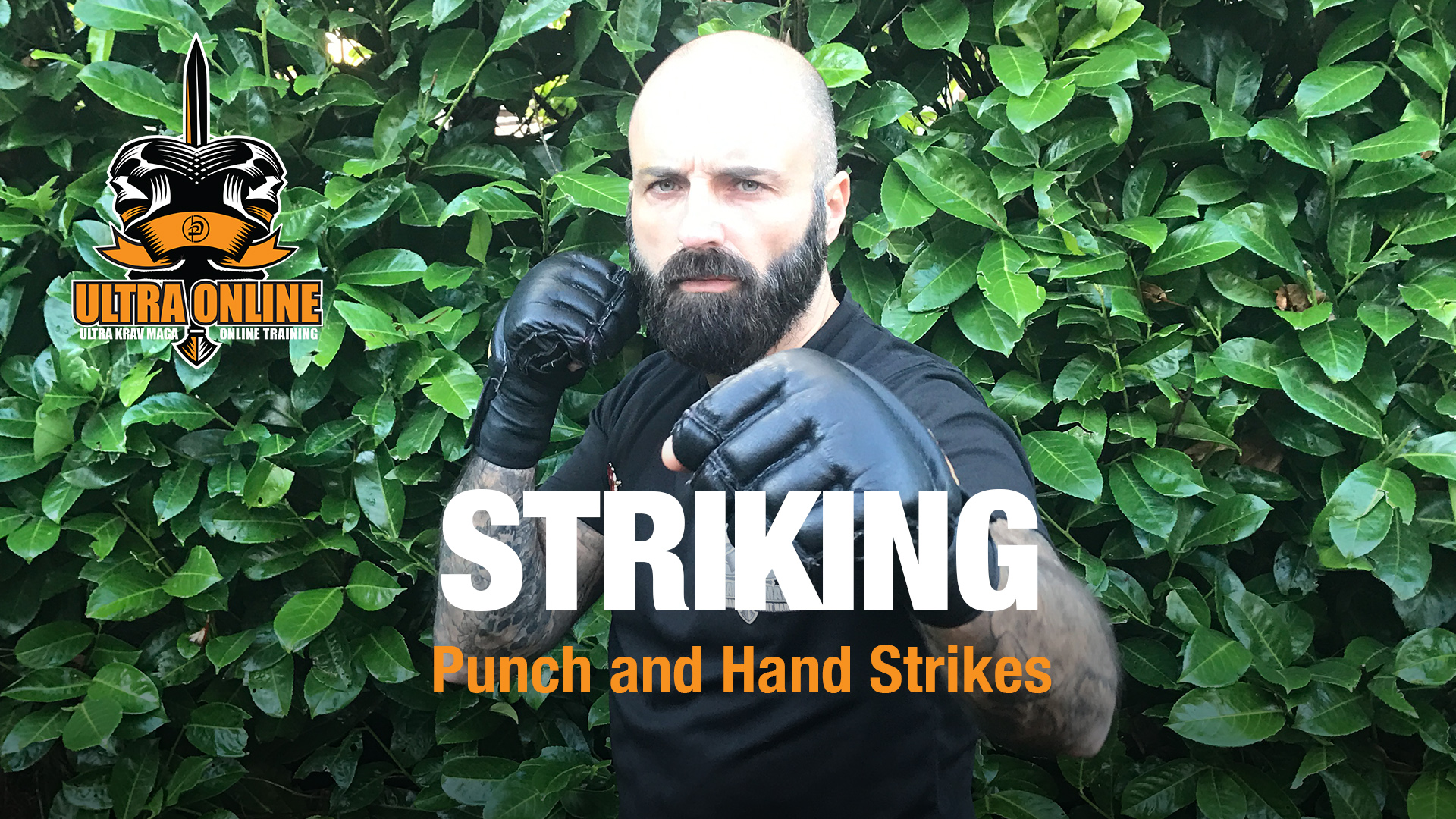 Striking - Punches + Hand Strikes