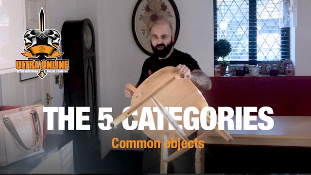 Common Objects - The 5 Categories