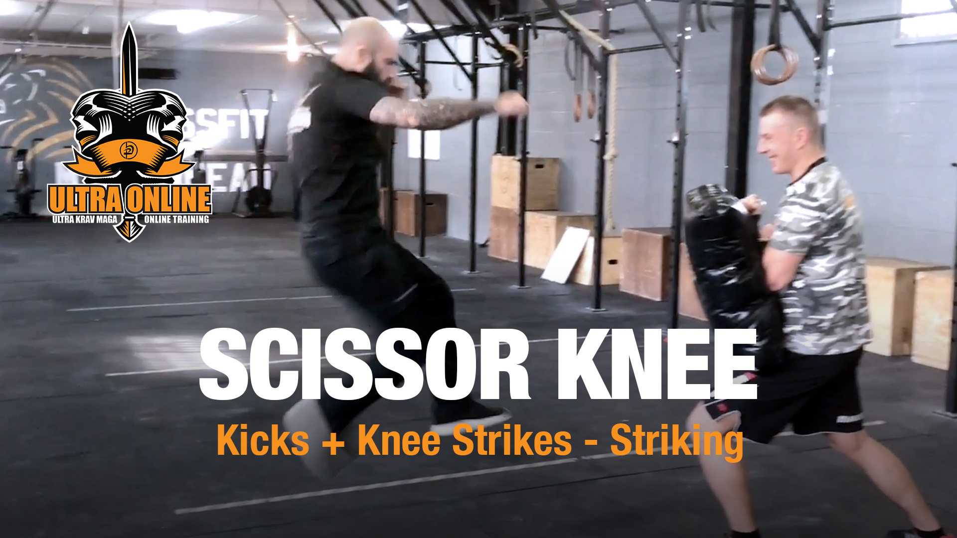 Scissor Knee Strike