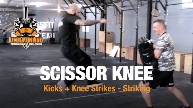 Scissor Knee Strike