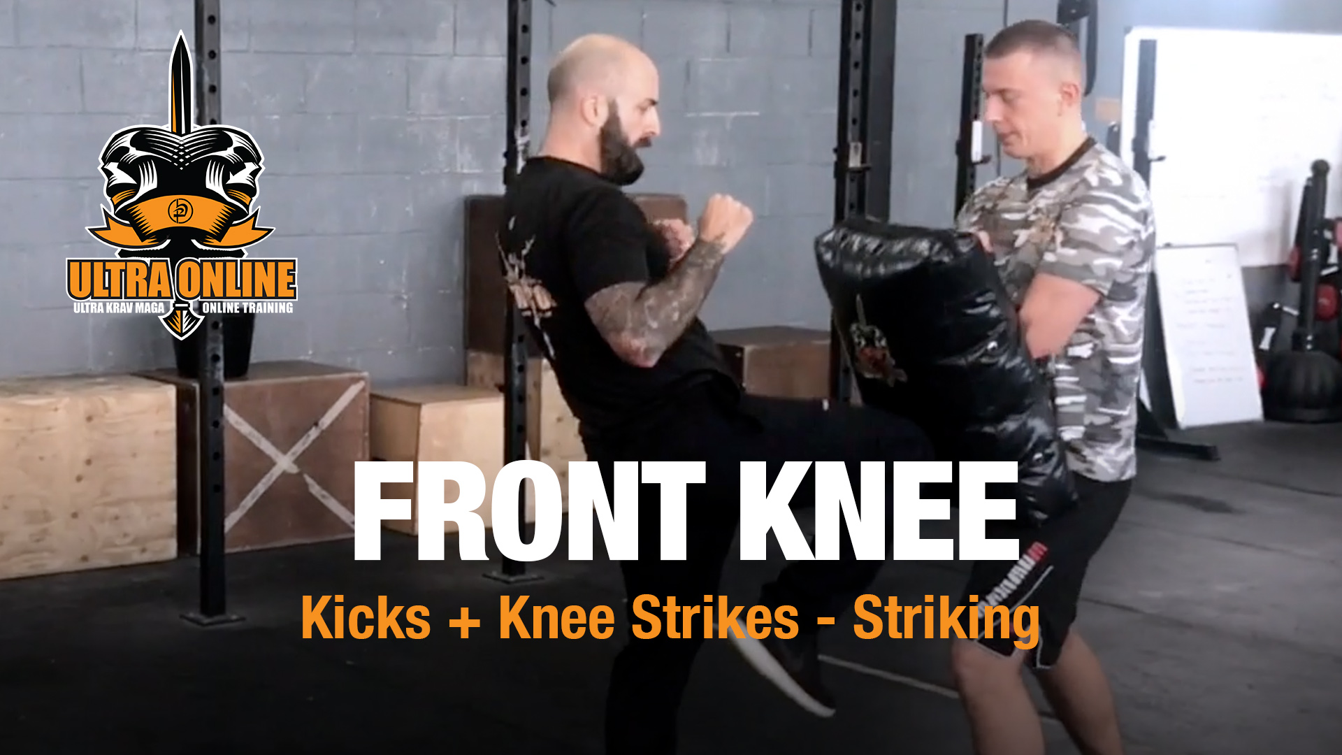 Front Knee Strike