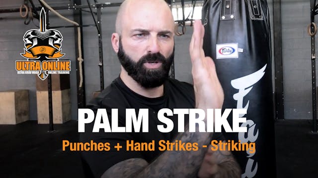 Palm Strike