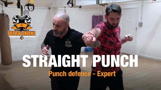 Straight punch defence with spinning ...