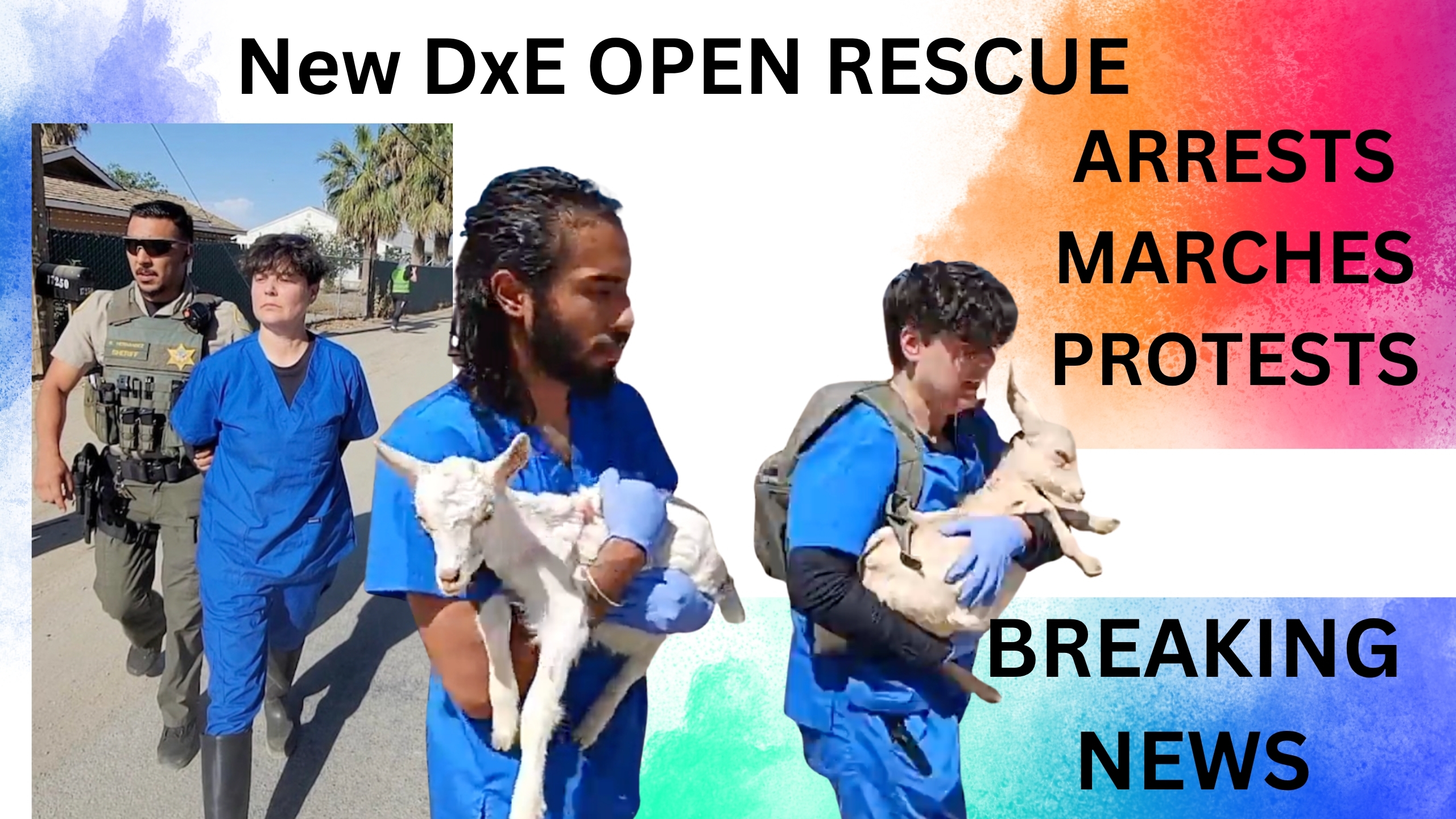  5 Animal Rights Activists Arrested