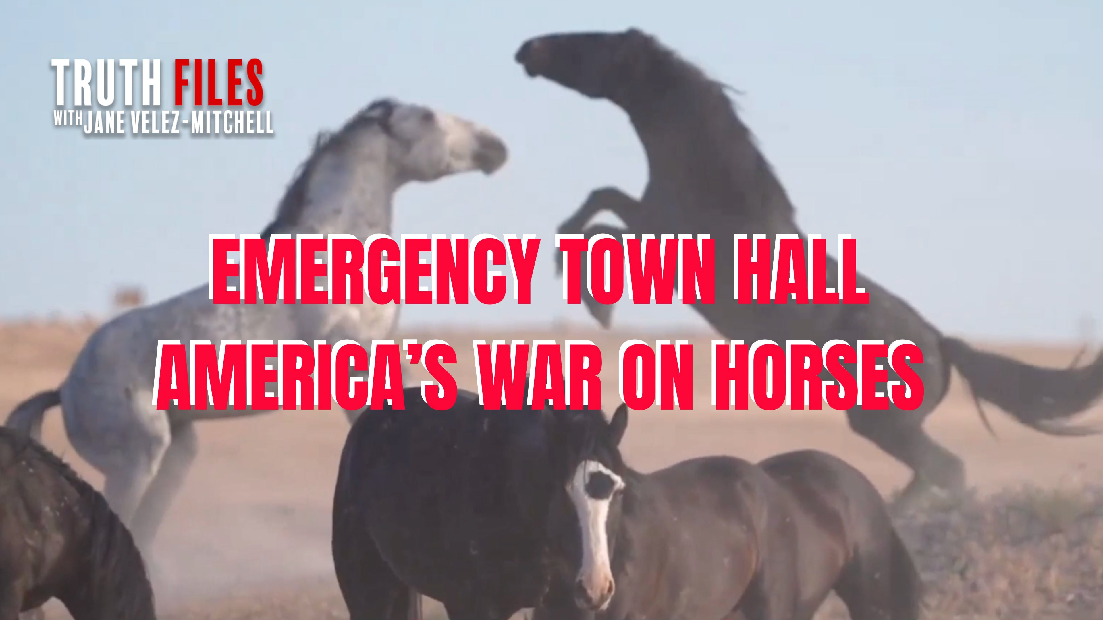 Emergency Town Hall for Horses