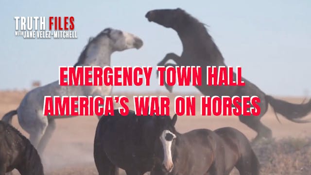 Emergency Town Hall for Horses