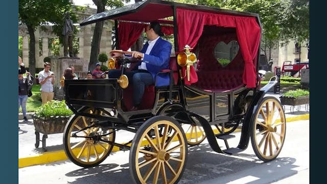 Carriage Horses Could Become A Thing ...