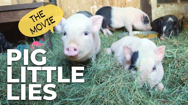 PIG LITTLE LIES: THE MOVIE
