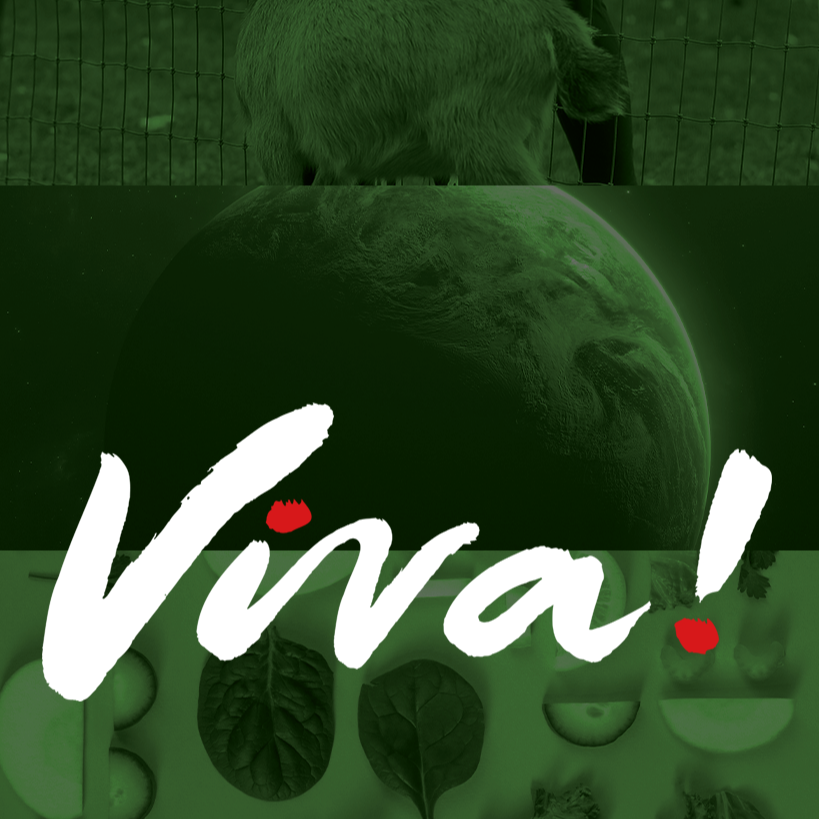 Viva!