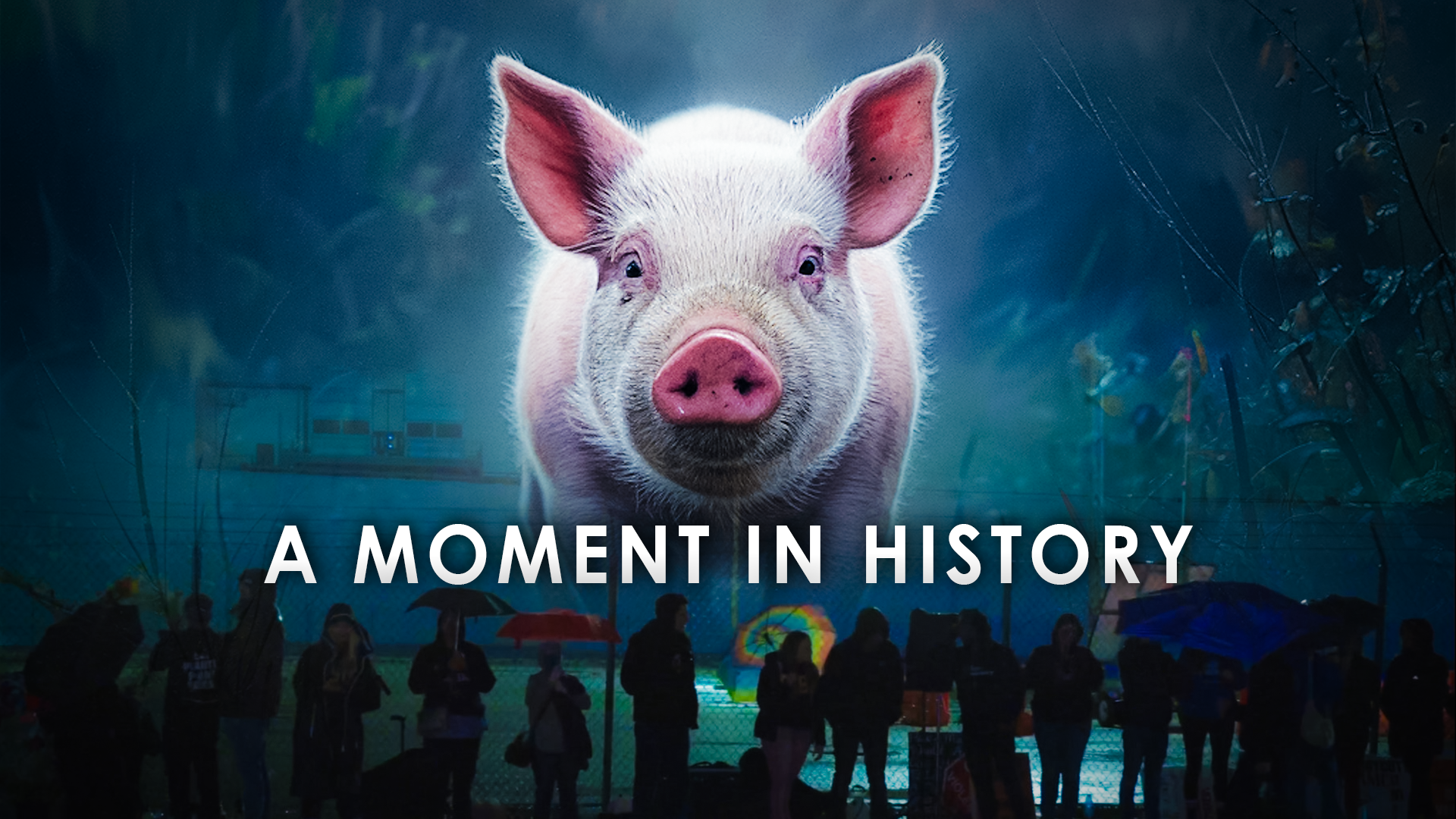 A Moment in History, Episode One