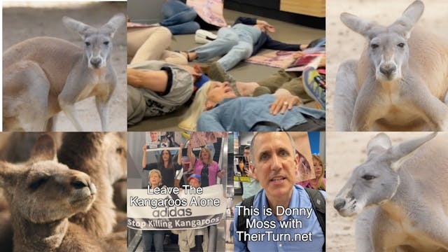 Protesters Swarm NYC Adidas Store