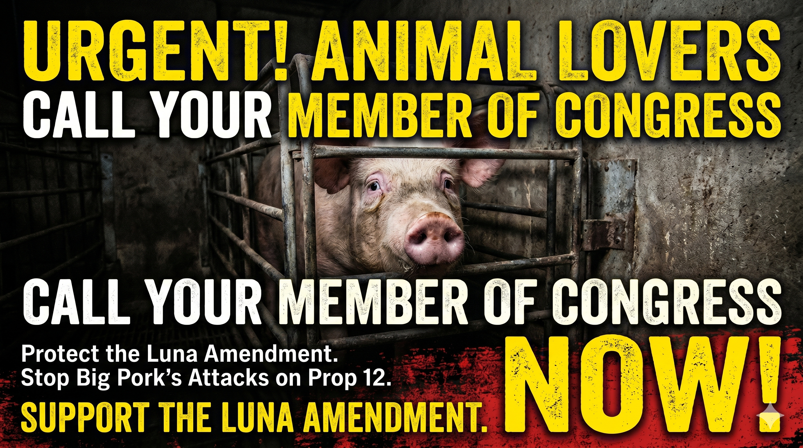 URGENT: Call Congress NOW!