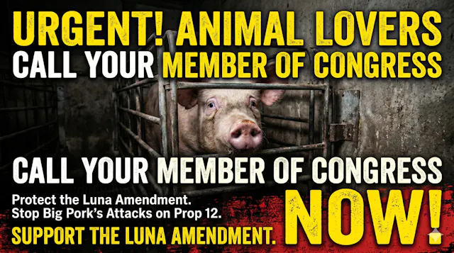 URGENT: Call Congress NOW!