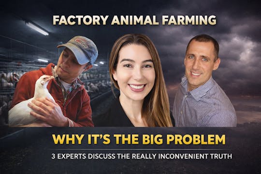 Bird Flu, Wildfires: Factory Farming'...