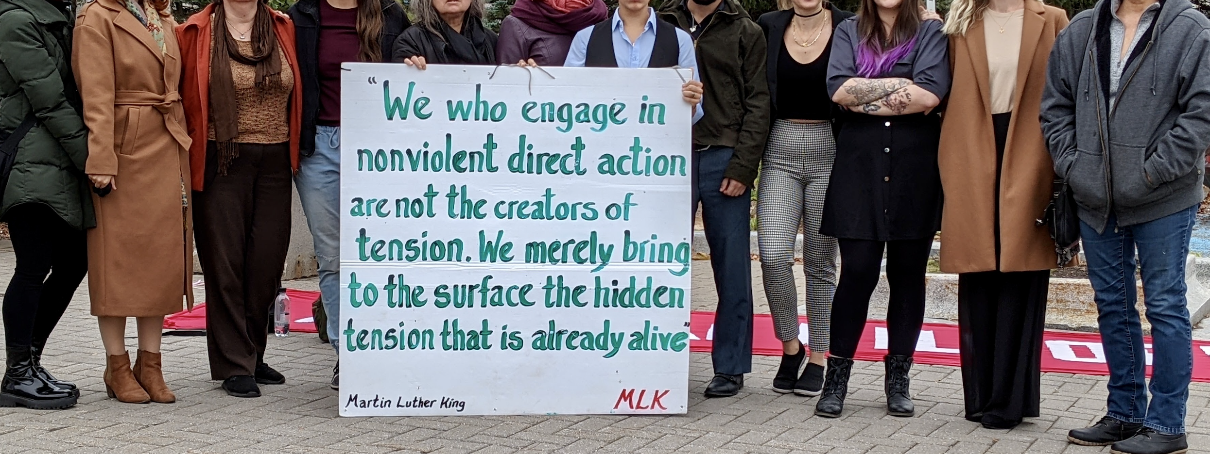 11 Canadian Animal Activists Found Guilty for Showing Conditions at Pig Farm