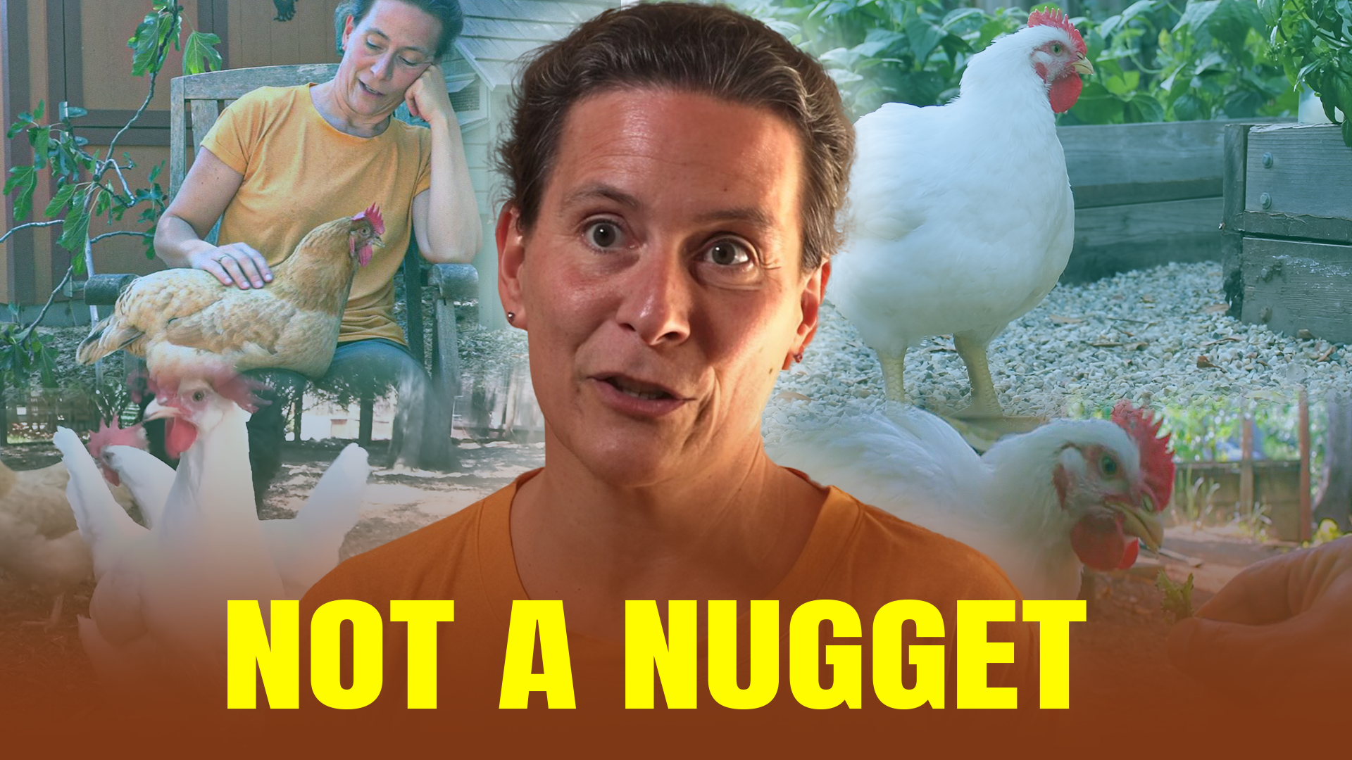 Not A Nugget