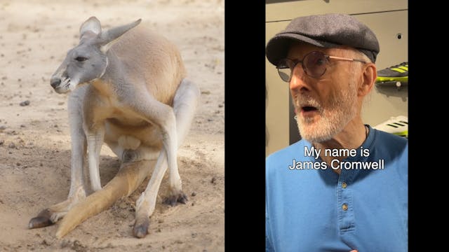 James Cromwell Protests Kangaroo Leat...