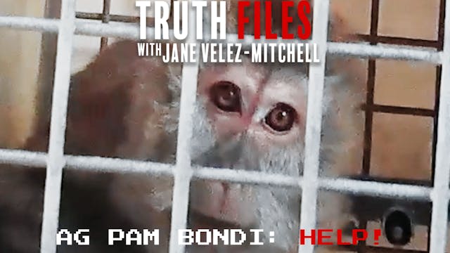 PETA to Pam Bondi: Help the Monkeys