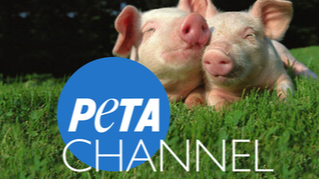 PETA