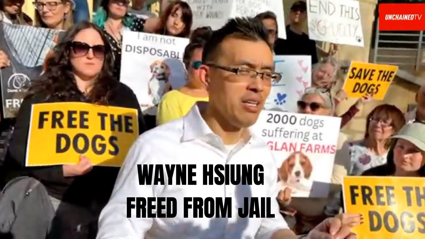 Beagle Rescuers Get Out of Jail