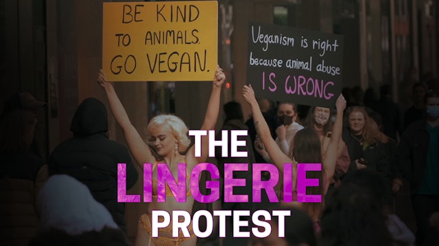 The Lingerie Protest