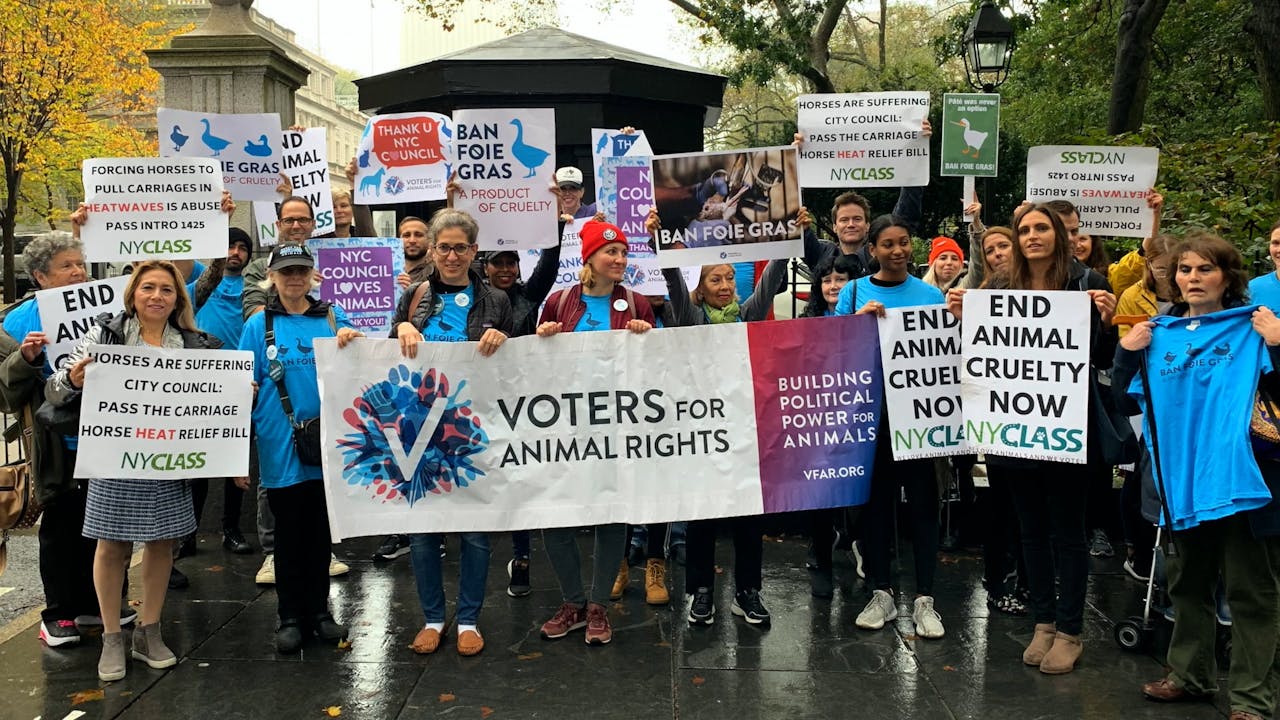 Does Foie Gras Get Banned? Their Turn UnchainedTV