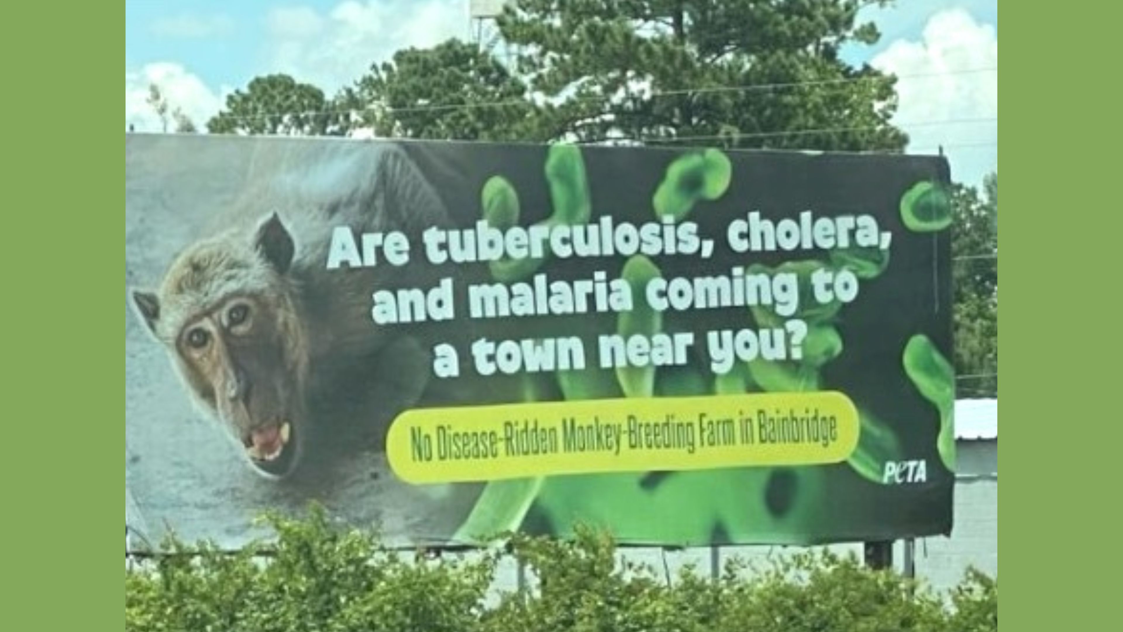 Stop The Monkey Business!