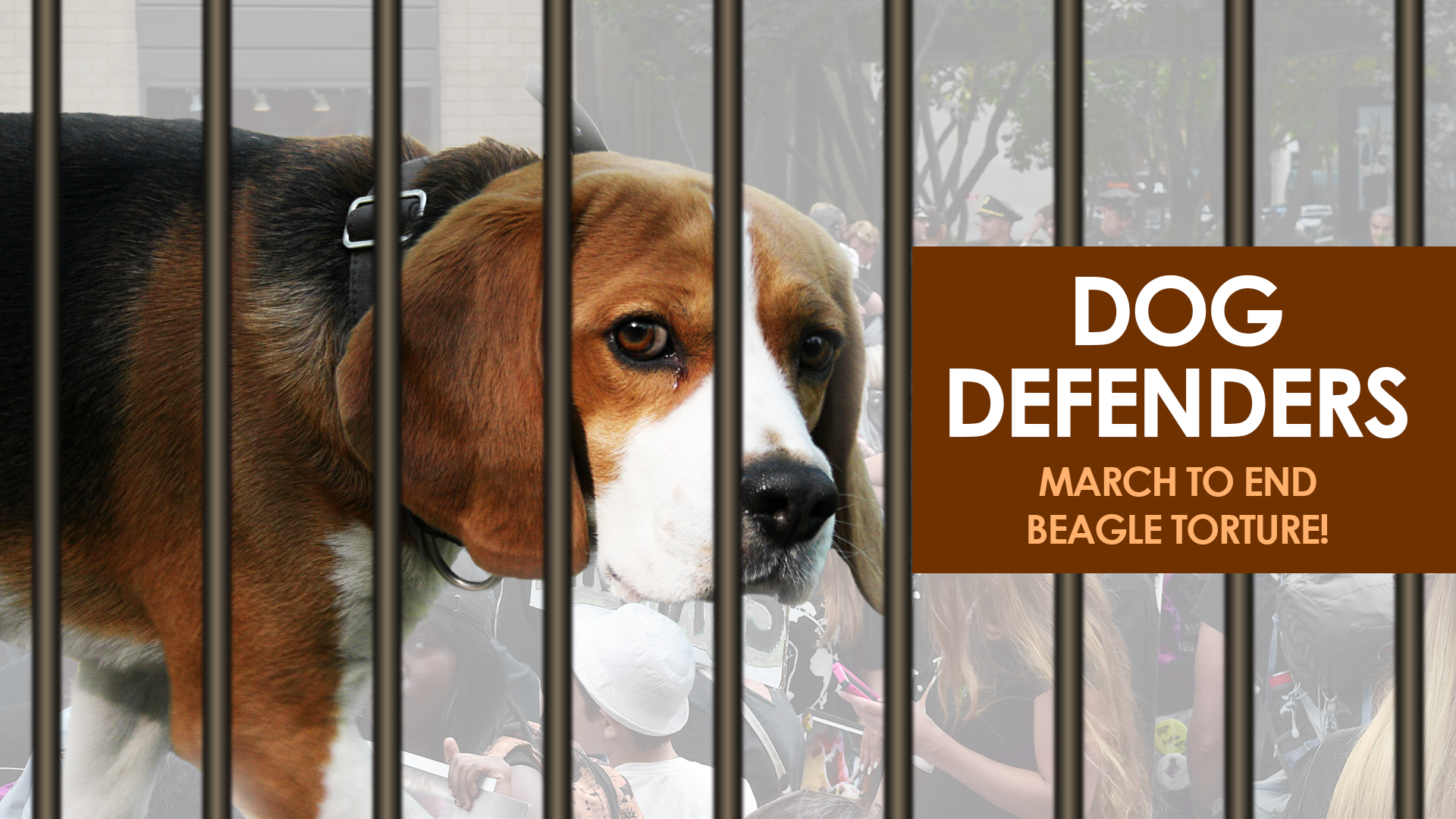 Dog Defenders March to End Beagle Torture! 