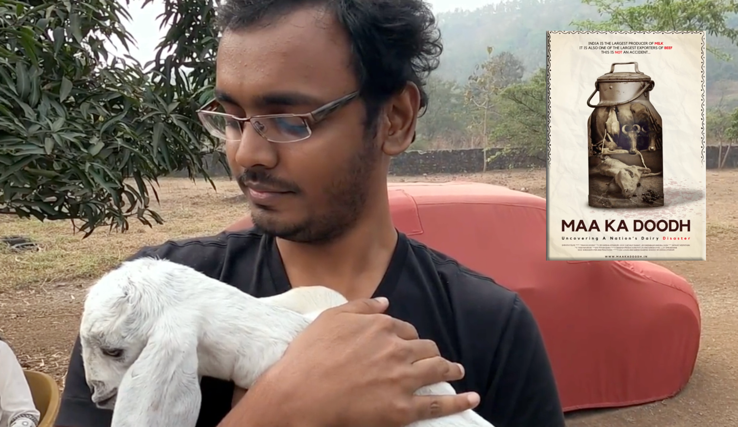 Human Rights vs Animal Rights