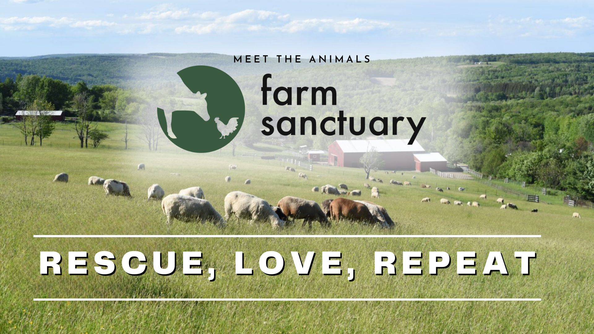 Farm Sanctuary