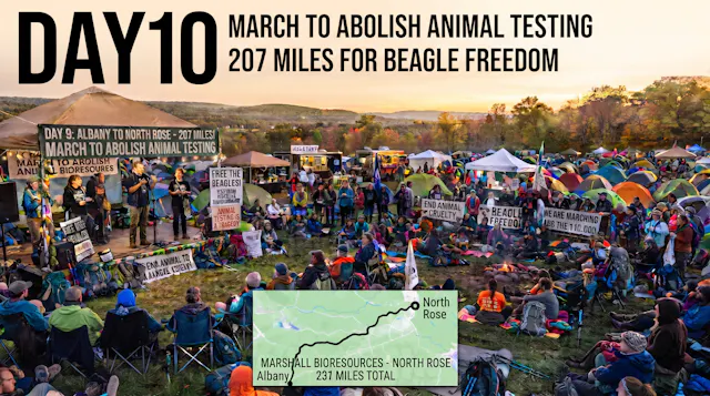 DAY 10 - March to End Animal Tests