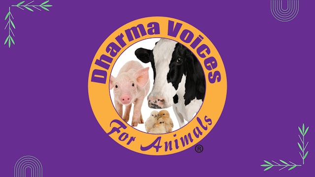 Dharma Voices for Animals