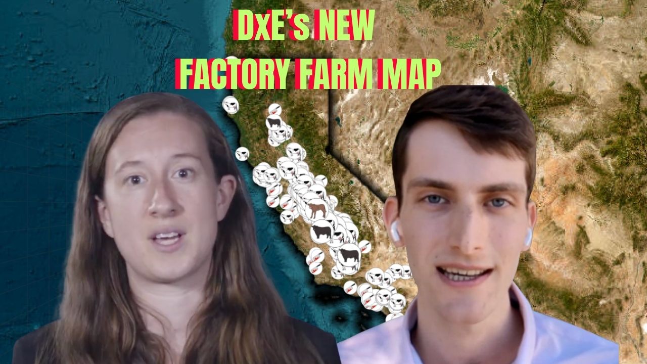 DxE's New Factory Farm Map!